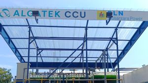 PLN NP Ujicobakan Carbon Capture and Storage Berbasis Alga Pertama di Indonesia