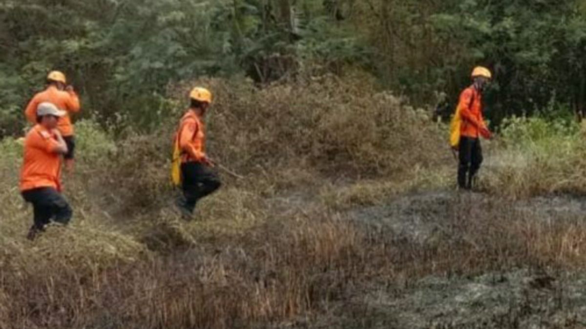 Petugas Gabungan Padamkan Kebakaran di Kawasan Hutan Dangdeur Subang