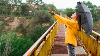 雨の季節の休暇?最も検索された都市