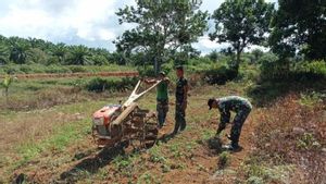 TNI AD Buka 9 Hektare Lahan Tidur di Natuna, Ditanami Jagung, Ubi dan Singkong