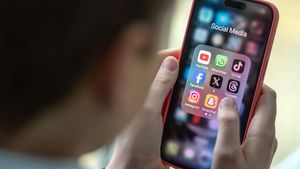 PP Tunas Berlaku: Meta Sudah Patuh, TikTok-Roblox Berproses, Google Ditegur