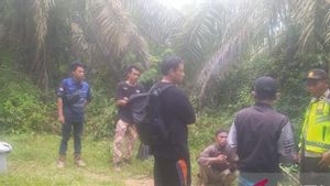 Siswa SMK Ahmad Sabri Menghilang di Lahan Tambang Batu Bara di Jambi, Keluarga, Polisi dan Pihak Perusahaan Kehilangan Jejak