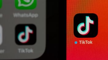 Latest Research Says TikTok Becomes An Integrated Head Of Information