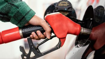 The Price Of The Economy Of Fuel: It Turns Out That The Government Can't Hold It Again