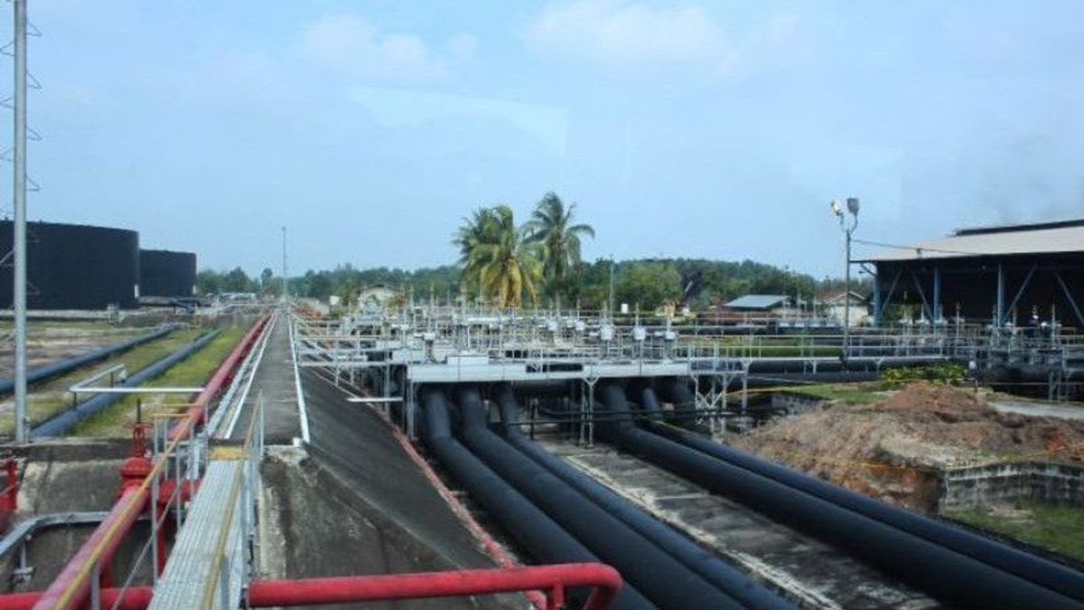 Pertamina Hulu Sanga Sanga Successfully Find Hydrocarbons In Kutai Kartanegara, East Kalimantan