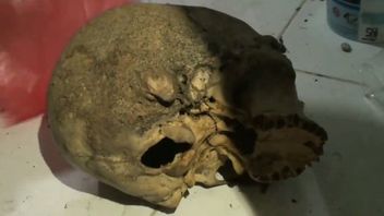 Polisi Belum Temukan Unsur Pidana Dalam Kasus Temuan Tengkorak Kepala Manusia di Duren Sawit