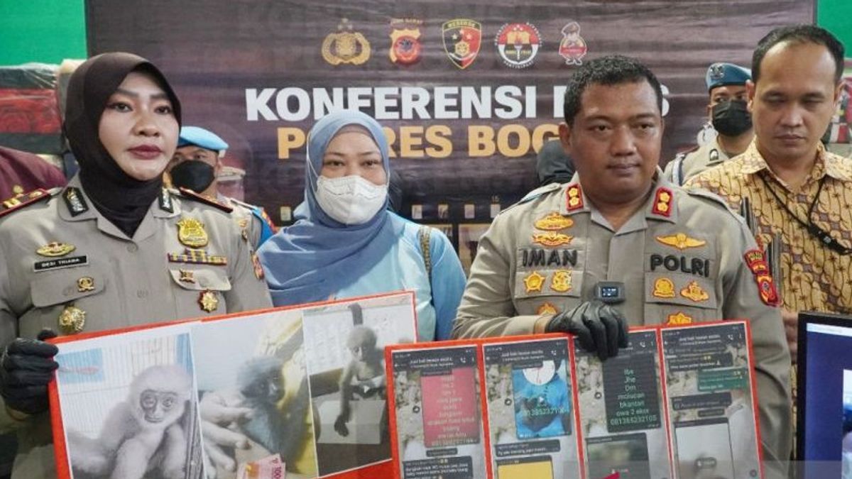 出售爪哇长臂猿受保护动物，2名男子被茂物警方逮捕