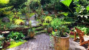 5 Tips Menata Taman Rumah Sederhana Agar Terkesan Mewah dan Luas 