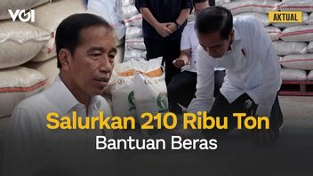 视频:El Nino的影响,Jokowi总统下令Bulog每月分发210吨大米