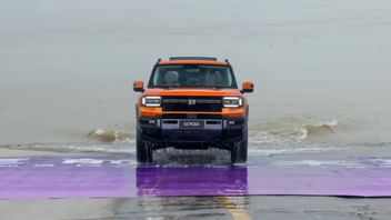 This Chinese Car Successfully 