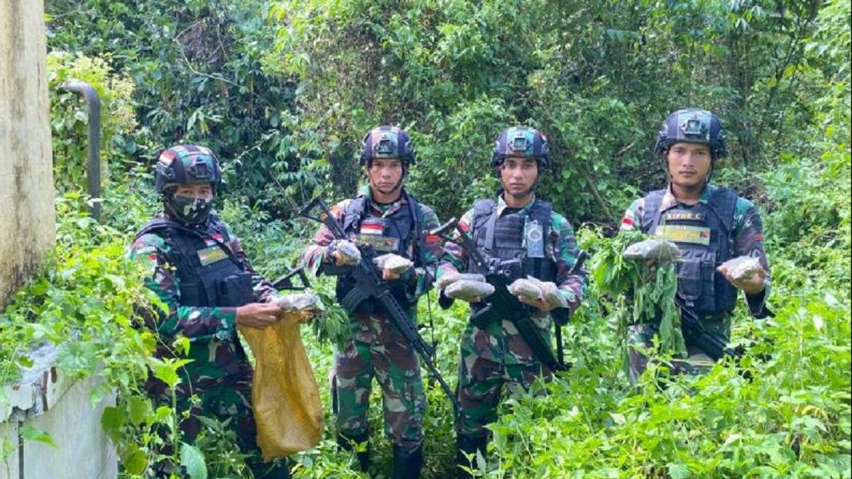 Youth Only Remains Silent At The RI-PNG Border Guarded By The Yonif Task Force, Apparently Bringing Sacks Filled With Marijuana