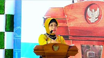 Maluku Utara dan Sulawesi Tengah Jadi Provinsi Tertinggi Dorong Pertumbuhan Ekonomi