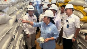 Stok Bulog Aman, DPR Yakin Harga Beras Segera Normal