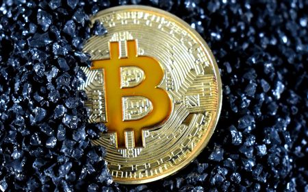 Penulis Buku The Black Swan Sebut Bitcoin Cs Mirip Penipuan atau Ponzi