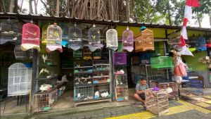  Pemkot Jaksel Beri SP1 ke Pedagang Pasar Burung Barito Belum Mau Pindah  
