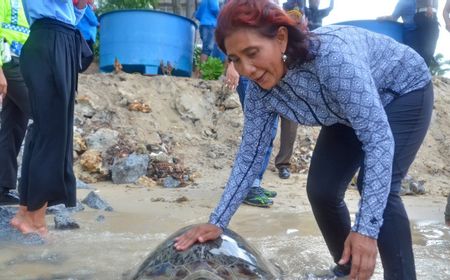 Susi yang Berharap Ada Ketegasan Terkait Pencurian Ikan di Perairan Nasional