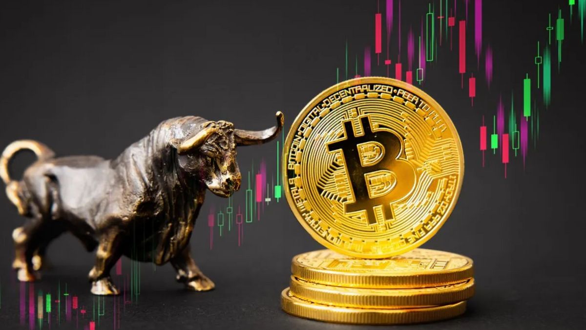 بيرنشتاين للأبحاث: مرحبا بكم في Bull Run crypto!