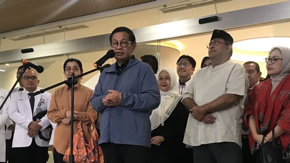 Pramono Anung Anggap Pilgub Jakarta Ibarat David Lawan Goliath