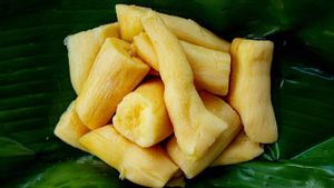 Resep dan Proses Pembuatan Tape Singkong, Coba Bikin Sendiri di Rumah