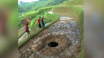 Don't Panic With Sinkholes In West Bandung, Usually Occurs In Mountain Areas