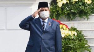 Diramalkan Pasangan Prabowo-Puan Jadi Duet Terkuat, Benarkah Demikian?
