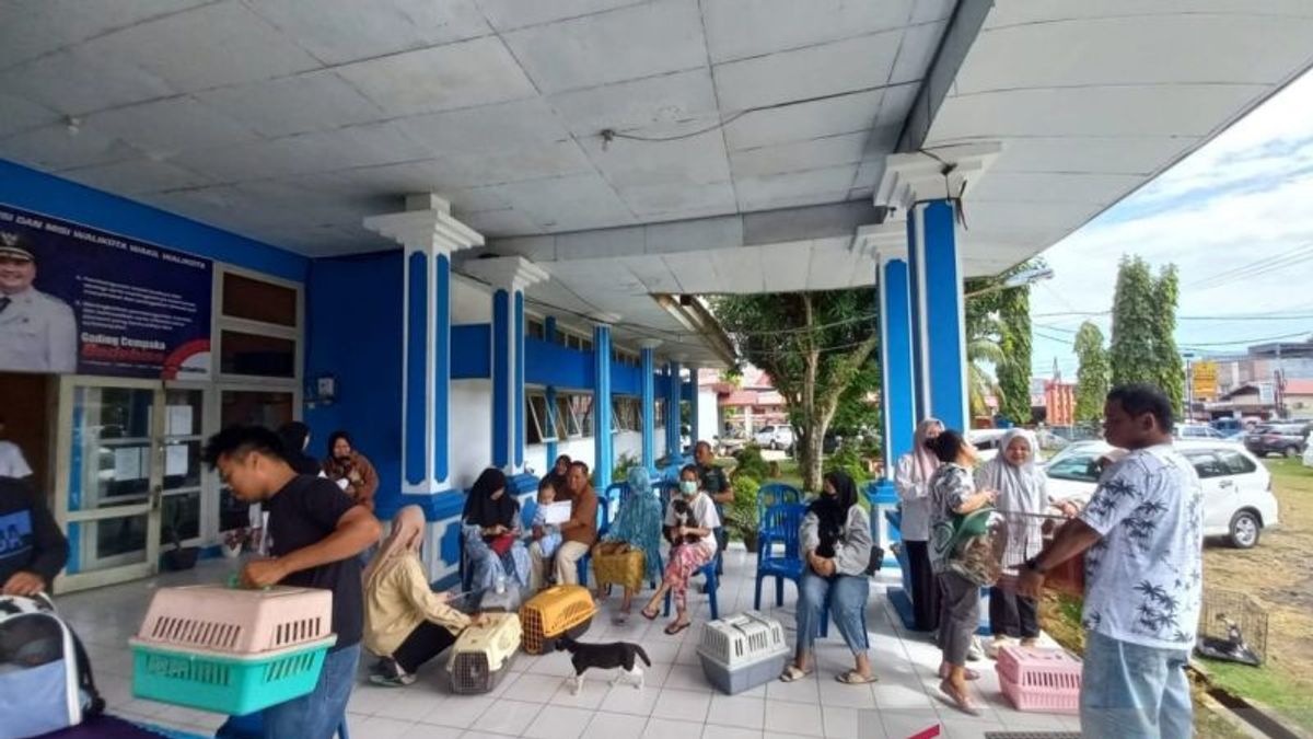 彭加鲁省政府分发了2000剂狂犬病疫苗