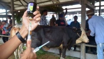 طلب عدم الاستخفاف بمرض الحمى القلاعية ، ستستورد وزارة الزراعة نغاكو 3 ملايين جرعة من اللقاحات تصل الأسبوع المقبل