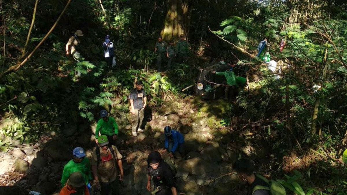 Seekor Macan Tutul yang Ditangkap Warga, Dilepasliarkan ke Gunung Sawal, Ciamis
