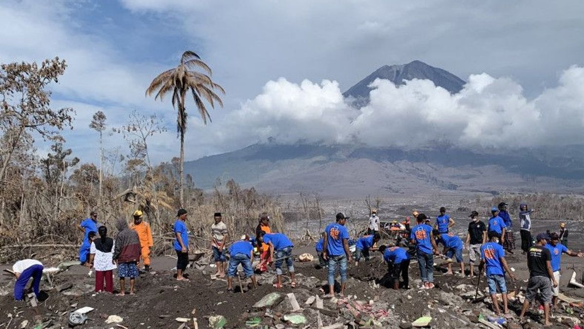 Les Résidents De Ngantang Aident à La Recherche Des Biens Des Victimes De L’éruption Du Semeru