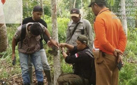 BKSDA Riau Pasang 2 Kamera Jebak di Sekitar Temuan Jejak Harimau