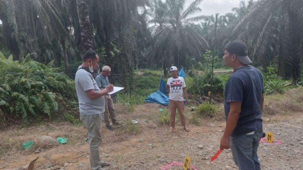 Police Investigate Death Of Woman In West Pasaman Palm Oil Plantation, Cloth Wraps Around Neck And Missing Jewelry