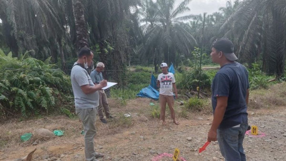 Polisi Selidiki Tewasnya Wanita di Perkebunan Sawit Pasaman Barat, Ada Lilitan Kain di Leher dan Perhiasan Hilang