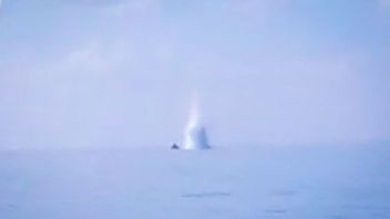 ナトゥナ海で魚の爆撃機を捕まえるように制約されたPSDKP:私たちの船が近づくにつれて証拠は排除されました