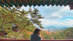 Corée du Sud : Comment profiter d'un tourisme culturel recommandé,empleestay
