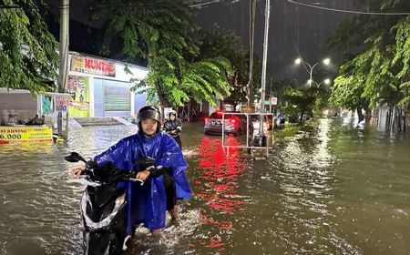 BMKG: Penurunan Tanah Jadi Pemicu Pulau Jawa Rentan Banjir