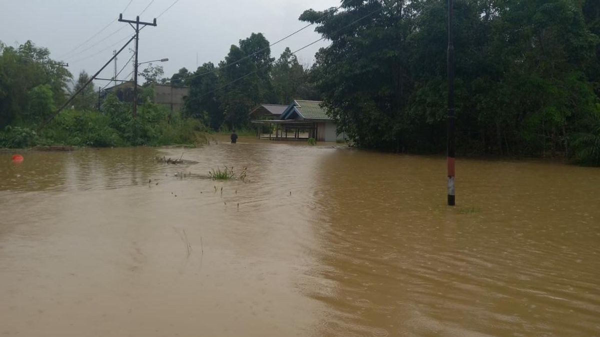 The Tepuai And Embau Rivers In West Kalimantan Overflow, 900 Affected Residents