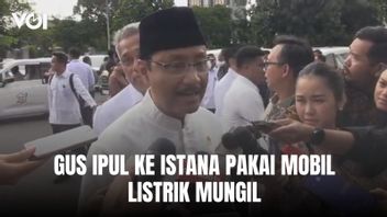 Tampil Beda, Mensos Saifullah Yusuf ke Istana Pakai Mobil Listrik Mungil