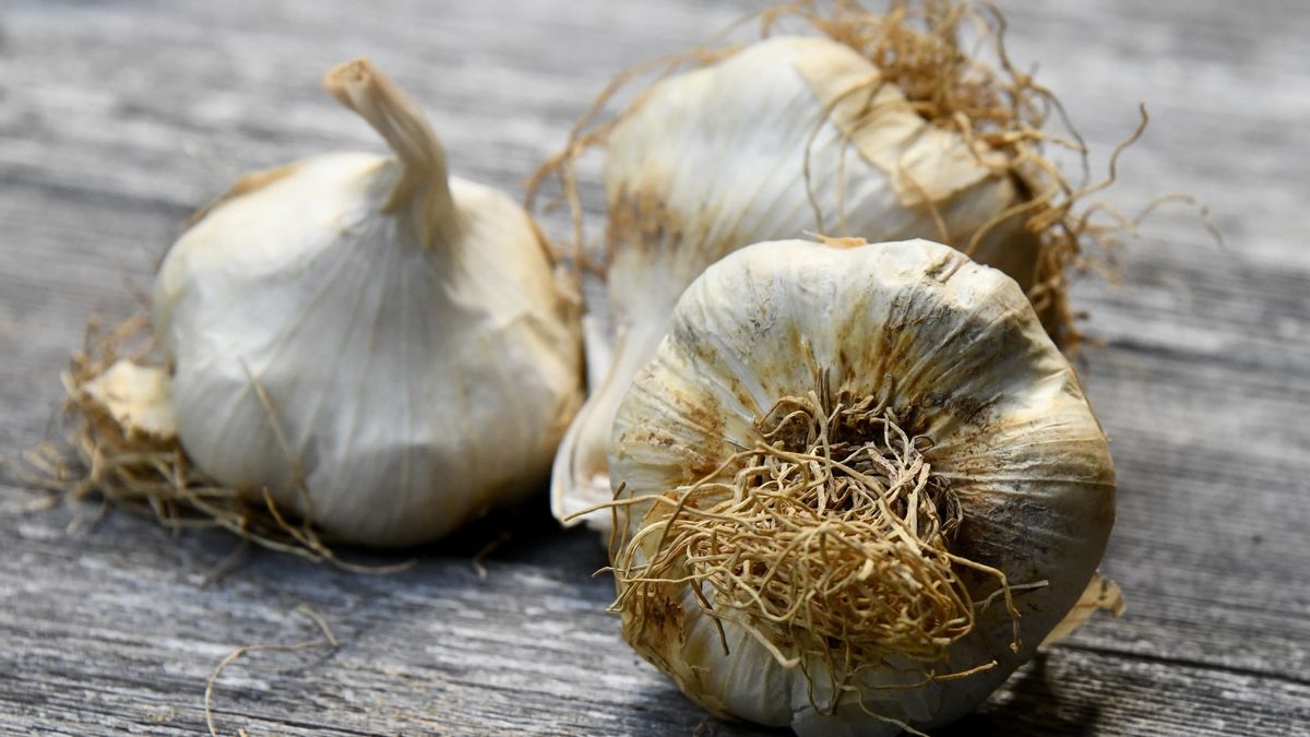 INDEF: Investigate Postponement Of Garlic Import Approval By The Ministry Of Trade