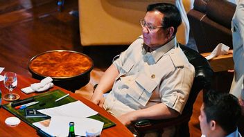 Presiden Prabowo Tegaskan Tak Ada Ampun untuk Korporasi Pembakar Lahan