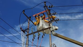 Hiring 100 Thousand Outsourcing, KSPI: PLN Makes Slave Workers In The Modern Era