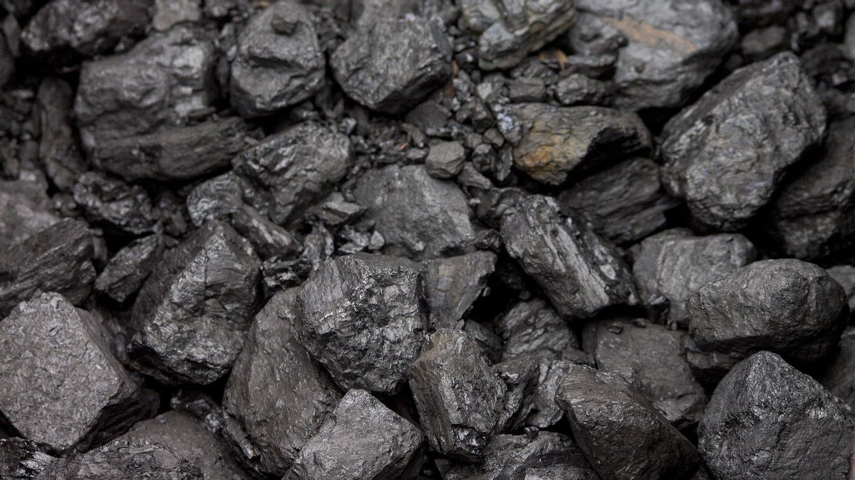 政府が他のエネルギー源を利用するための石炭危機警報、オブザーバー:物価は依然として制約