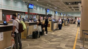 バリ移民チェックングラライに上陸した112シンガポール航空の乗客のライセンス