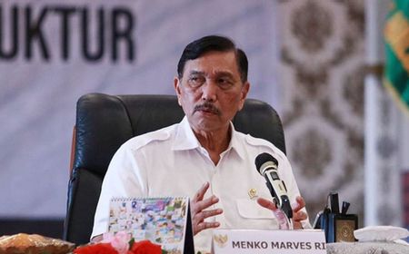 Luhut Dituding Ikut Ambil Untung Bisnis PCR, Jubirnya Membantah