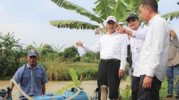 وزير الزراعة عمران باكو جاوة الغربية يزيد من إنتاجية زراعة الأرز