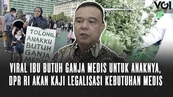 VIDEO: Viral Mother Needs Medical Marijuana For Her Child, Indonesian House Of Representatives Will Review Legalization Of Medical Needs