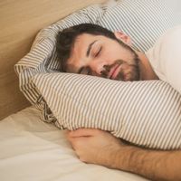 Why Are Men Often Erected In The Morning? This Is An Expert Explanation
