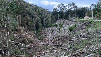 Walhi Dorong Pemerintah Jaga Kelestarian Sisa Hutan di Sulsel Bersama-sama