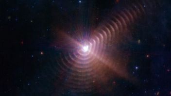 The Webb Telescope Captures The Phenomenon Of 17 Dust Rings Built From Giant Stars
