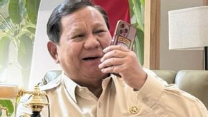 Prabowo Telepon Anwar Ibrahim hingga Raja Abdullah II, Silaturahmi Lebaran serta Bahas Konflik Iran-Israel