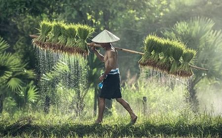 Pandemi COVID-19, Upah Nominal Harian Buruh Tani Nasional Maret Naik 0,15 Persen